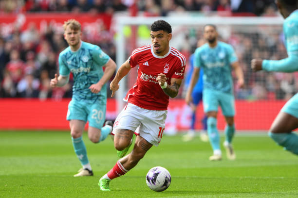 期待中国冰 期待中国冰